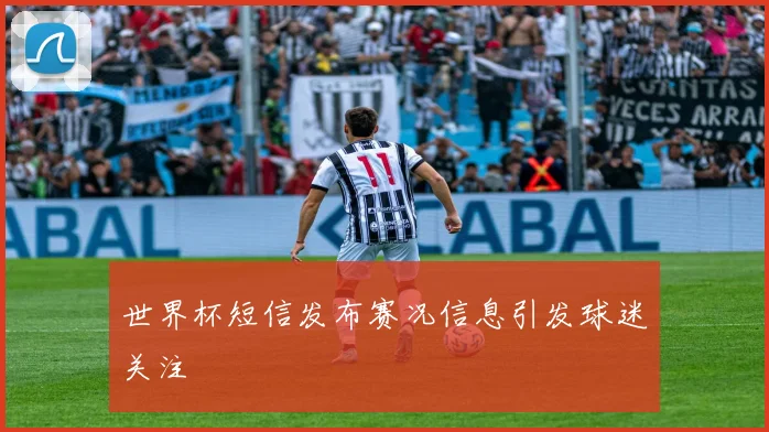 世界杯短信发布赛况信息引发球迷关注