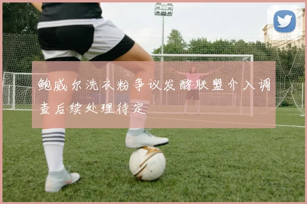 鲍威尔洗衣粉争议发酵联盟介入调查后续处理待定