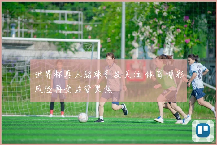 世界杯真人赌球引发关注 体育博彩风险再受监管聚焦