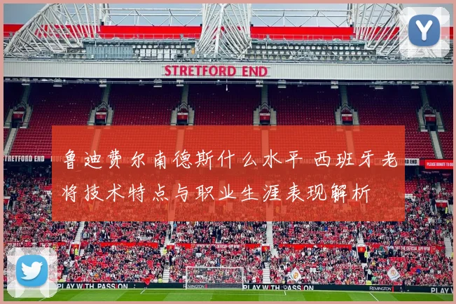 鲁迪费尔南德斯什么水平 西班牙老将技术特点与职业生涯表现解析