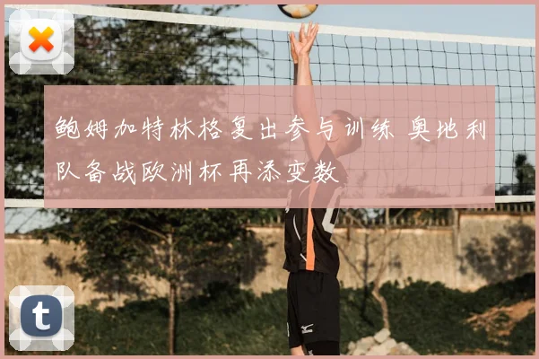 鲍姆加特林格复出参与训练 奥地利队备战欧洲杯再添变数
