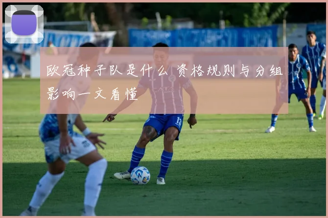 欧冠种子队是什么 资格规则与分组影响一文看懂