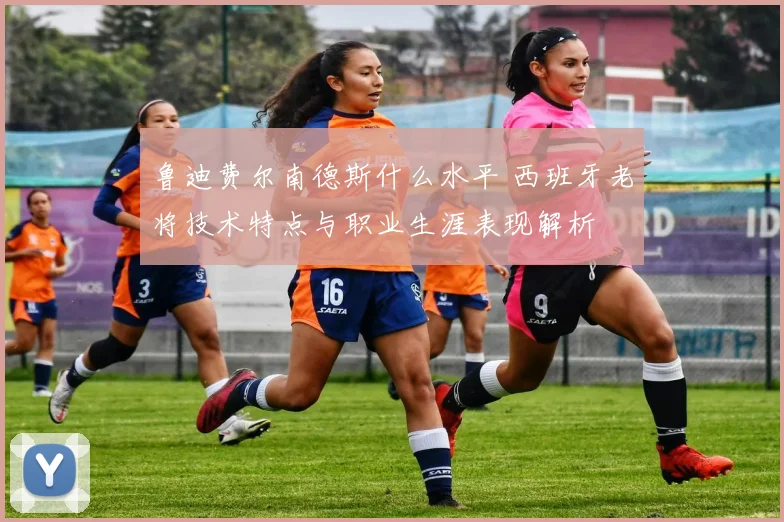 鲁迪费尔南德斯什么水平 西班牙老将技术特点与职业生涯表现解析
