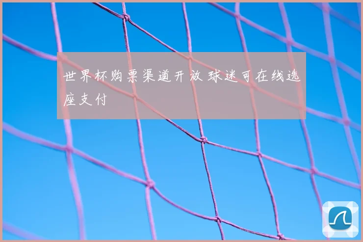 世界杯购票渠道开放 球迷可在线选座支付