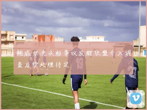 鲍威尔洗衣粉争议发酵联盟介入调查后续处理待定