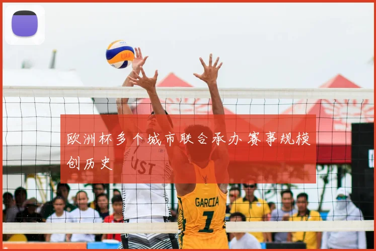 欧洲杯多个城市联合承办 赛事规模创历史