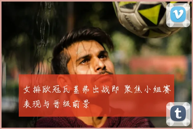女排欧冠瓦基弗出战即 聚焦小组赛表现与晋级前景
