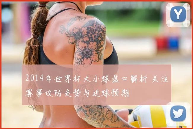 2014年世界杯大小球盘口解析 关注赛事攻防走势与进球预期