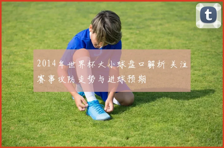 2014年世界杯大小球盘口解析 关注赛事攻防走势与进球预期