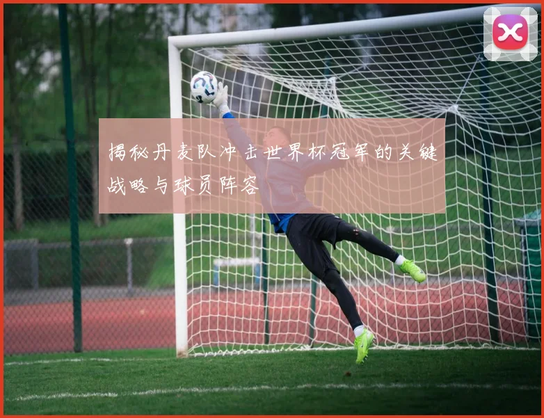 揭秘丹麦队冲击世界杯冠军的关键战略与球员阵容