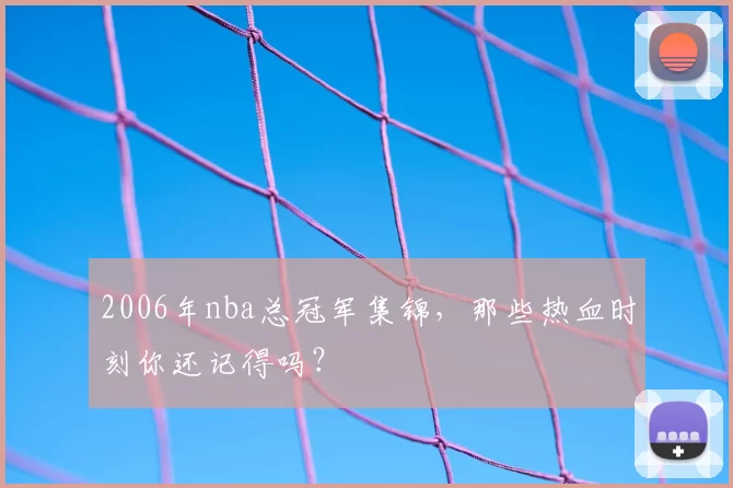 2006年nba总冠军集锦,那些热血时刻你还记得吗?