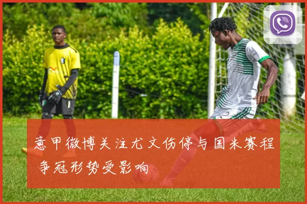 意甲微博关注尤文伤停与国米赛程 争冠形势受影响