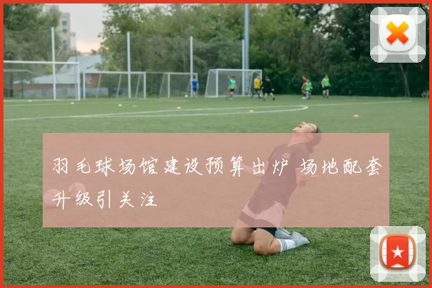 羽毛球场馆建设预算出炉 场地配套升级引关注